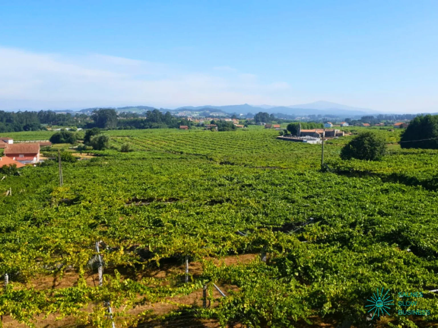 CASA-DE-LABRANZA-AS-BUBELAS-2